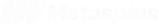 Metaspins Logo